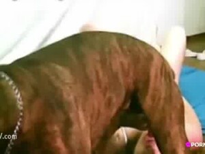 hottest suck compilation