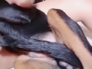 Brasileira novinha 1