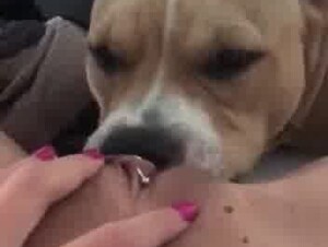 Dog suck vagina
