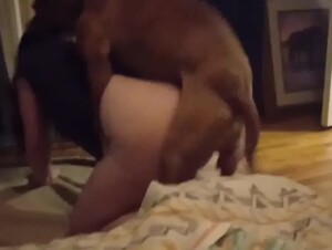 Husband films his wife with dog