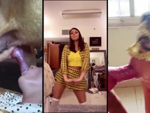 DOG SLUTS 3 (Babecock) (edit) (splitscreen)