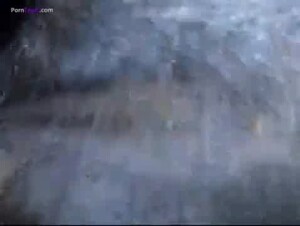 Guy cums in cow pussy