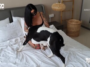 Raven’s Quest – Part I (1080p)