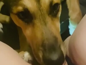 deep licking in the car