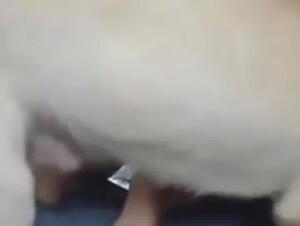 DOGUINHOS ESTICANDO A BUCETA DA ESPOSA CHINA