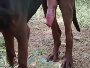 Big and strong handsome boy