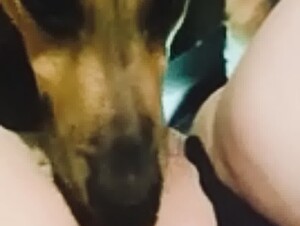 sucking my pussy till I was fucking wet