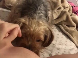 dog licks cute girl  (Upscaled Denoised Sharpened)