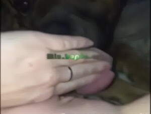 Dog licks pussy while she has an orgasm (Upscaled Denoised Sharpened)