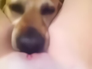 Family pet makes her cum (Upscaled Denoised Sharpened)