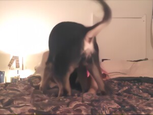 Hot homemade knot (Upscaled Denoised Sharpened)