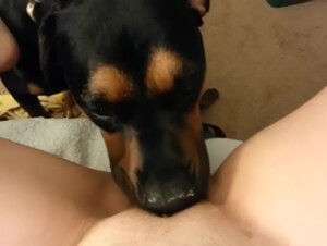 Licked to Orgasm while babysitting (Upscaled Denoised Sharpened)