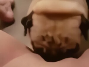 Loud pugs (Upscaled Denoised Sharpened)