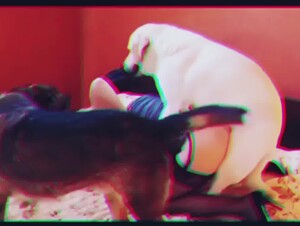 Baha Men - Who Let The Dogs Out(zoo versión)🐶😋