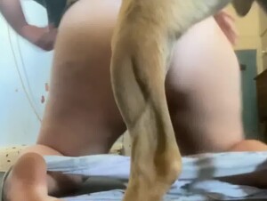 Dog Fucks Chubby Girl
