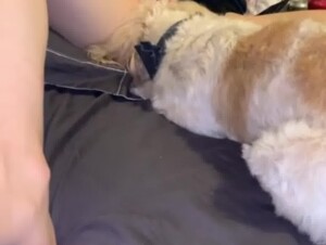 Teen Loves her Dog