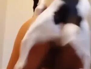 Small dog can fuck