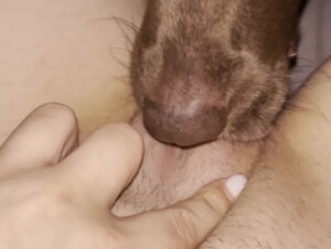 Girl Gets a Good Dog Lick