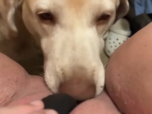 Horny Girl Getting Licked