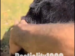 esposa linda fodendo com dog