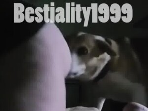 gordinha dando a ultima foda antes de ir dormir