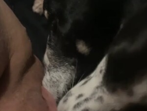 Two Dogs Destroys her Pussy