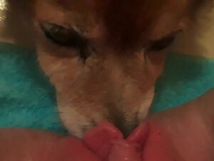 Delirando de prazer com meu amor