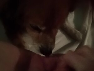 Deleitando nessa boca safada