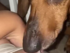 Teen Lets a Dog Lick her Pussy