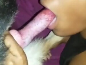 Time to Suck Dog's Dick