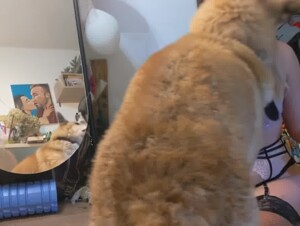 Russian orgies: dog and girl in a wild climax