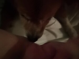 Me acabando na siririca com o dog