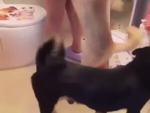 Chinese wife got trouble in the bathroom 1