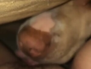 Horny Teen Getting Licked