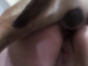 Tender, middle-aged wife fucks family dog