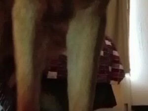 she records herself getting mounted