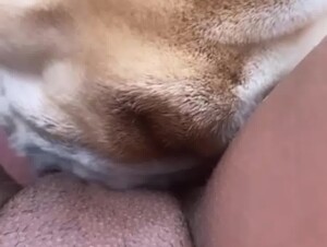 Horny Teen Getting Licked