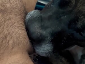 Girl Having Fun with her Dog at Home