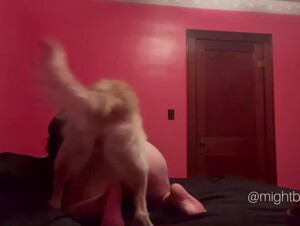 bbw knotted in her bed