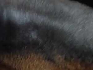 Horny Teen Getting Licked