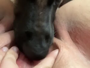 Sapna pussy linking dog sex