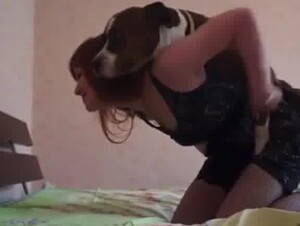 Dog sex videos