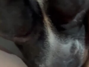 Horny Girl Getting Licked