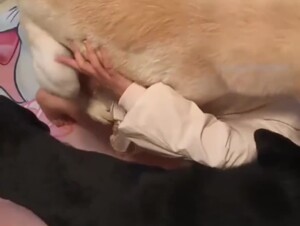 国产小孩开大车视频qq3935919422