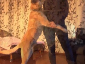 PORN MUSIC | Team Russia Petlove - Masha