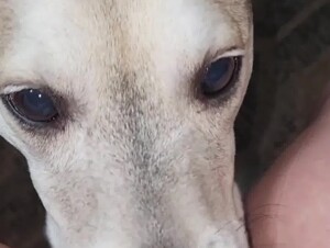 Horny Girl Getting Licked