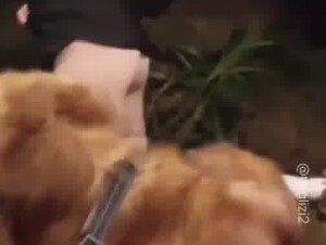 Chinese girl student has a happy dog