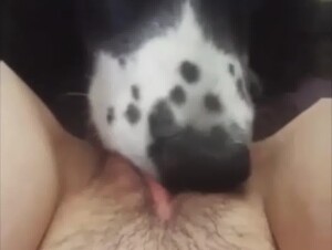 Dog Eats his Owner's Pussy
