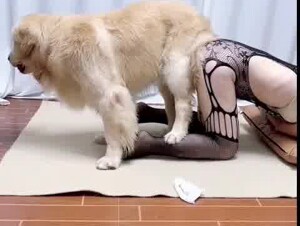 Chinese nice girl making doggy feeling good 2