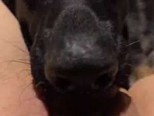 Me and my pups and she’s helping me through a stressful day